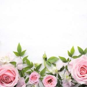 Roses v1