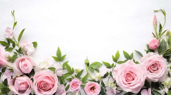 Roses v1