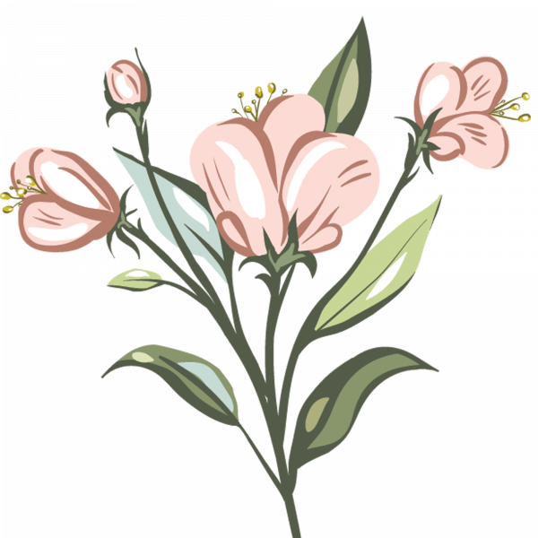 Roses v1 - Image 2